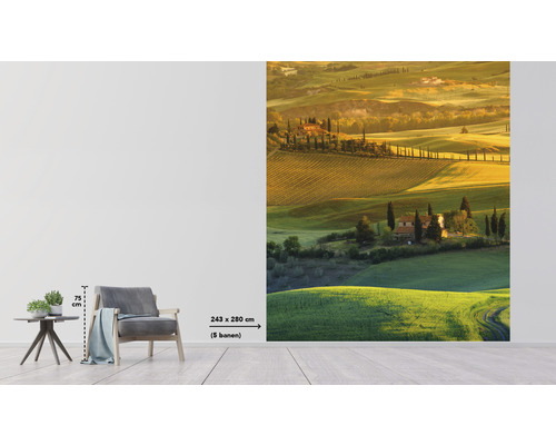 Vliestapete mit toskanischer Landschaft, Abmessungen 243 mal 280 Zentimeter