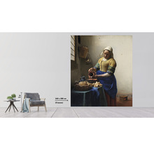 Fototapete Vlies HRBP300026 Jan Vermeer Dienstmagd mit Milchkrug 5-tlg. 243 x 280 cm