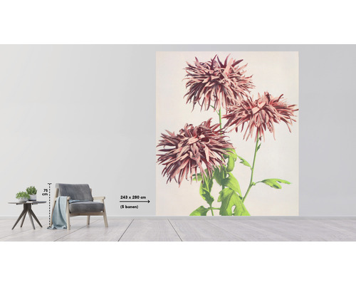 Szene mit einer Fototapete mit Blumenmuster im Raum, Maße 243 mal 280 Zentimeter