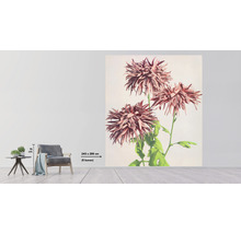 Fototapete Vlies HRBP300035 Chrysanthemen 5-tlg. 243 x 280 cm