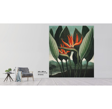 Fototapete Vlies HRBP300039 Thornton Strelitzia 5-tlg. 243 x 280 cm