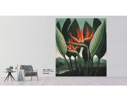 Fototapete mit Paradiesvogelblumenmotiv in einem hellen Raum