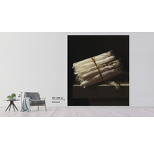Wandbild mit Spargelmotiv, Größe 243 x 280 cm