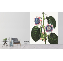 Fototapete Vlies HRBP300078 Thornton Passieflora 5-tlg. 243 x 280 cm