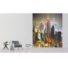 Fototapete mit Skyline-Motiv, Maße 243 mal 280 Zentimeter