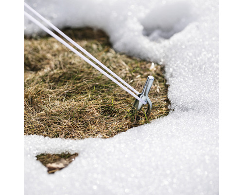 Hering mit Abspannseil im Schnee auf Rasen