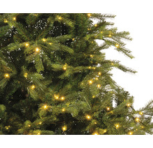 Nahaufnahme eines Weihnachtsbaums mit Lichtern.
