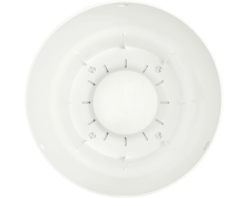 Innenansicht eines runden Blumentopfuntersetzers aus Kunststoff