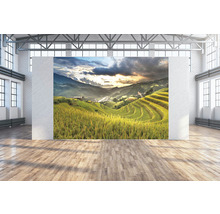 Wandtuch Sawah 350x250 cm