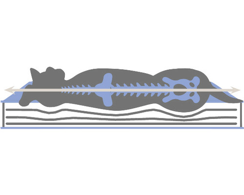 Illustration einer Katze auf einer orthopädischen Katzenmatratze, die die Druckentlastung zeigt