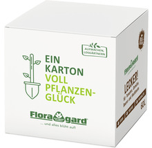 Floragard Pflanzerde in einem Karton mit dem Aufdruck ''Ein Karton voll Pflanzenglück'' für Tomaten, Gemüse, Beeren und Hochbeete, 60 Liter