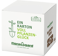 Karton Blumenerde 60 Liter