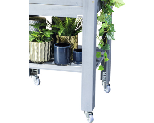 Pflanzenwagen mit Pflanzen in Töpfen