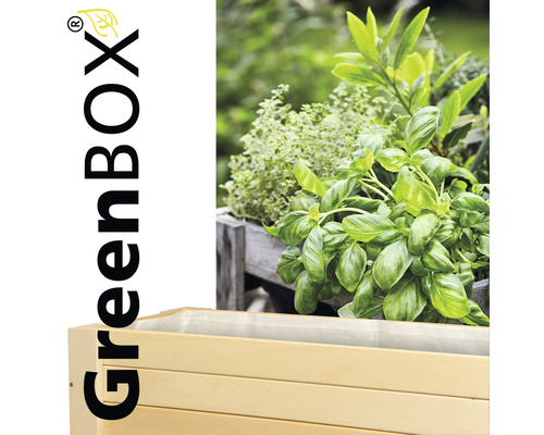 Hochbeet aus Holz mit Kräutern bepflanzt