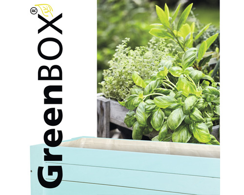 Hochbeet mit Kräutern bepflanzt