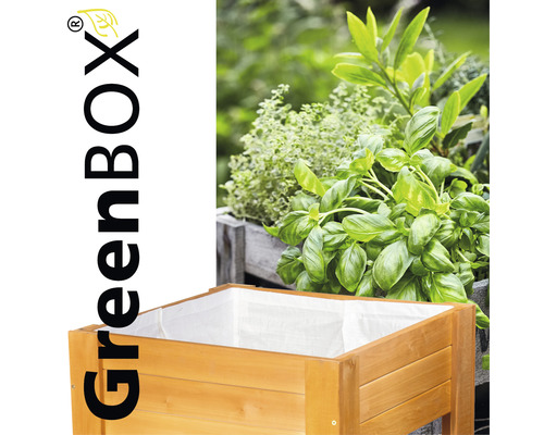 Hochbeet aus Holz mit Kräutern bepflanzt