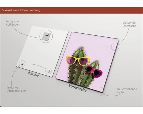 Glasbild mit Kaktusmotiv, Aufhängung inklusive, glänzende Oberfläche
