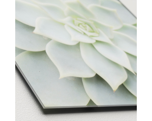 Dekoratives Acrylglasbild mit Sukkulenten-Motiv