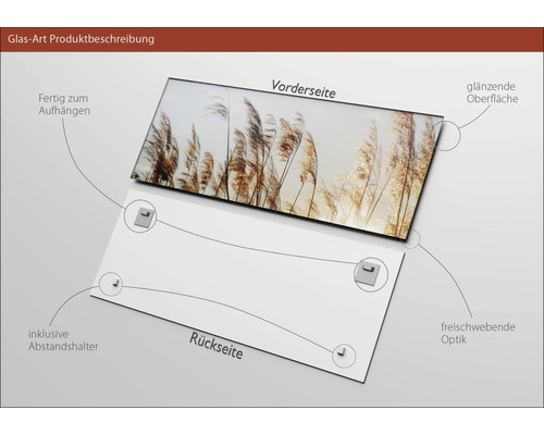 Glasbild mit Aufhängung und Abstandshalter zur Wandmontage