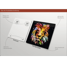 Glasbild Colorful Lion Head 80x80 cm