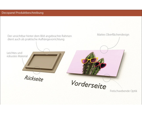 Decopanel Produktbeschreibung mit Rahmenrückseite und Vorderseite mit Kakteen Motiv