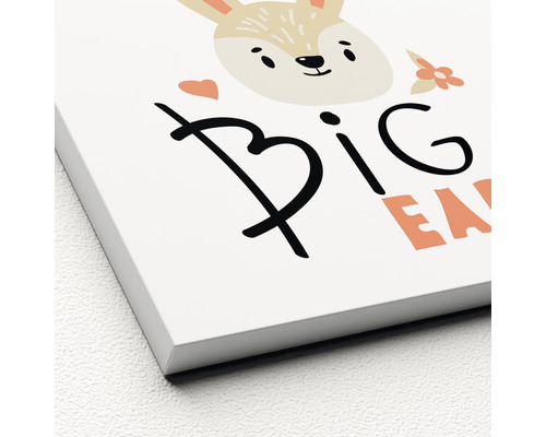 Dekoratives Wandbild mit Hasenmotiv und dem Schriftzug Big Ears