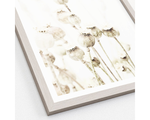 Gerahmtes Bild mit Mohnblumen-Motiv als Wanddekoration