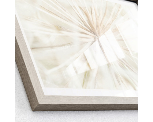 Gerahmtes Bild mit Pusteblumenmotiv