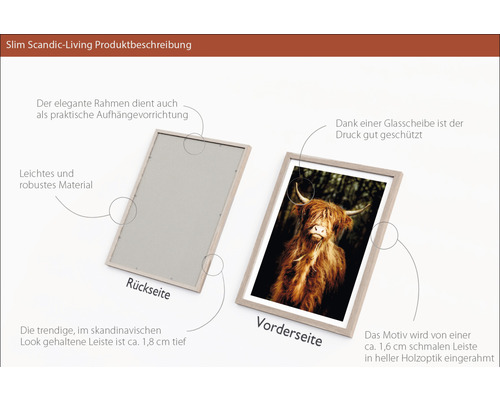 Produktbeschreibung: Gerahmtes Bild mit dem Motiv eines Hochlandrindes, Rahmen mit Aufhängevorrichtung.