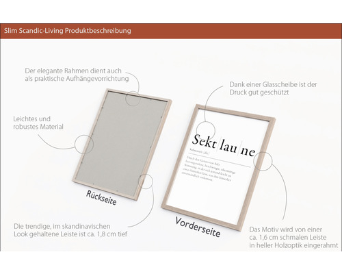 Bilderrahmen mit Glasabdeckung und Aufhängevorrichtung auf der Rückseite.