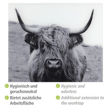 Küchenarbeitsplatte aus Glas mit Highlandrind Motiv