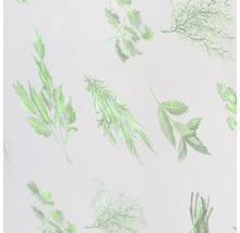 Illustration verschiedener Kräuter