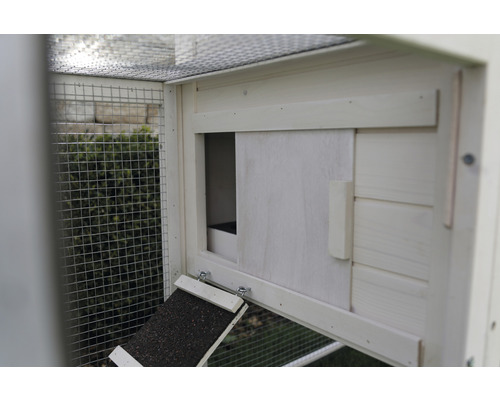 Detailansicht eines Hühnerstalls mit Rampe und Schiebetür.