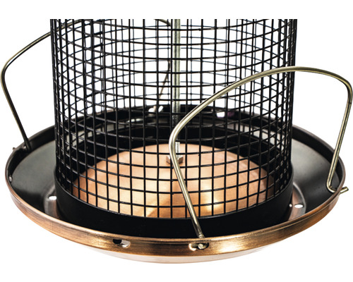 Vogelhaus mit Drahtgitter