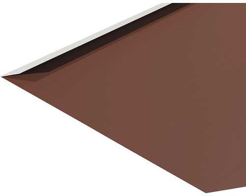 Nahaufnahme einer braunen Dachrinne