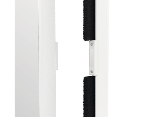 Bürstendichtung an einer Tür