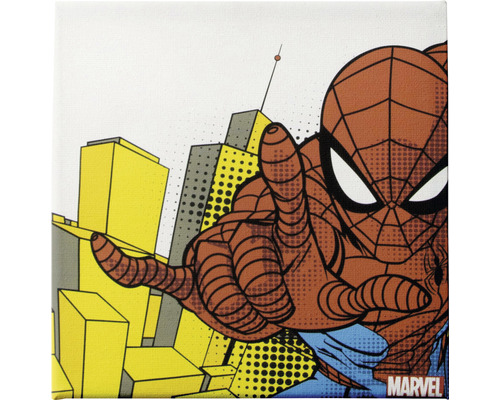 Wandbild mit Spiderman-Motiv