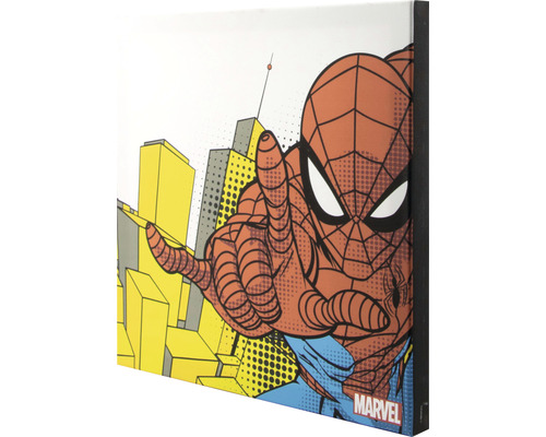Spiderman Wandbild
