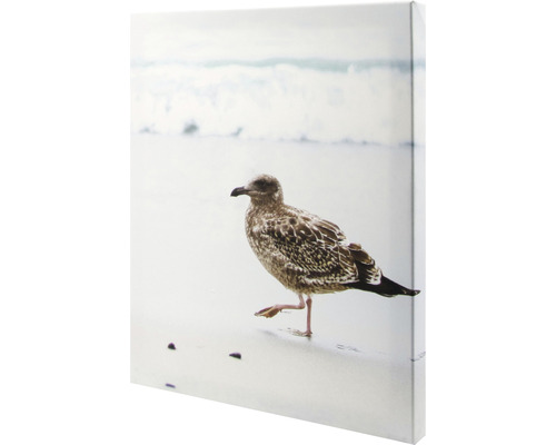 Leinwanddruck mit Möwe am Strand