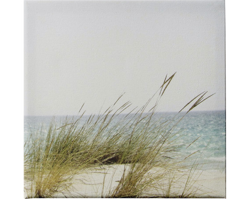 Leinwandbild mit Strandhafer vor Meer