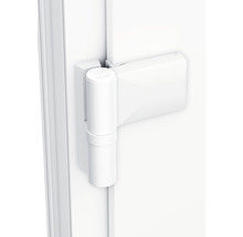 Nebeneingangstür A01 1100 x 2100 mm DIN Rechts weiß/mahagoni mit Glas Ornament 504 inkl. Griff-Set, Profilzylinder