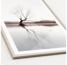 Gerahmtes Bild mit einem Baum im Wasser