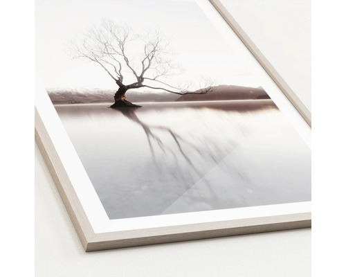 Gerahmtes Bild mit einem Baum im Wasser