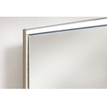 Spiegelschrank FACKELMANN Denver Oxford Hype 3.0 60 x 16 x 68.3 cm eiche natur 2-türig LED IP 20