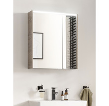 Spiegelschrank FACKELMANN Denver Oxford Hype 3.0 60 x 16 x 68.3 cm eiche natur 2-türig LED IP 20
