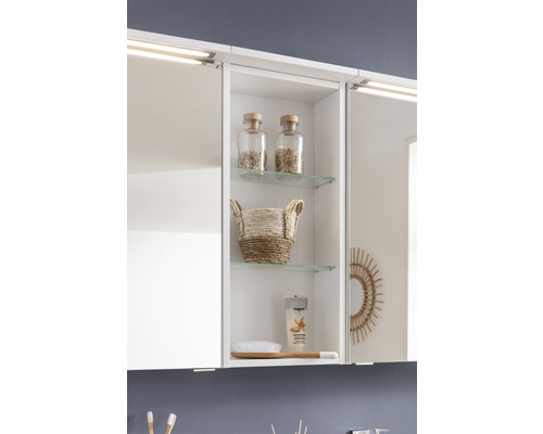 Detailansicht eines Spiegelschranks mit zwei Glasregalen und diversen Badutensilien