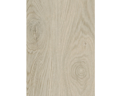 Nahaufnahme einer hellen Holzoberfläche mit Maserung