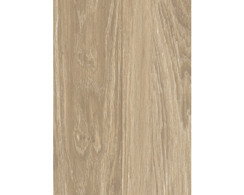 Nahaufnahme von Laminatboden mit Holzoptik