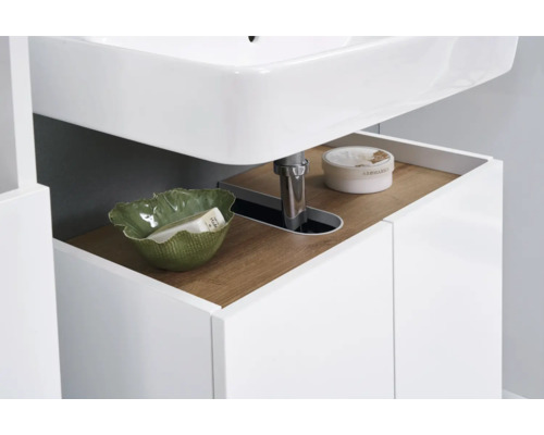 Detailansicht eines Badezimmerschranks unter einem Waschbecken mit Ablagefläche