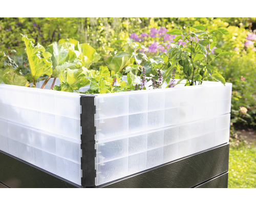 Hochbeet aus Kunststoff mit Pflanzen im Garten